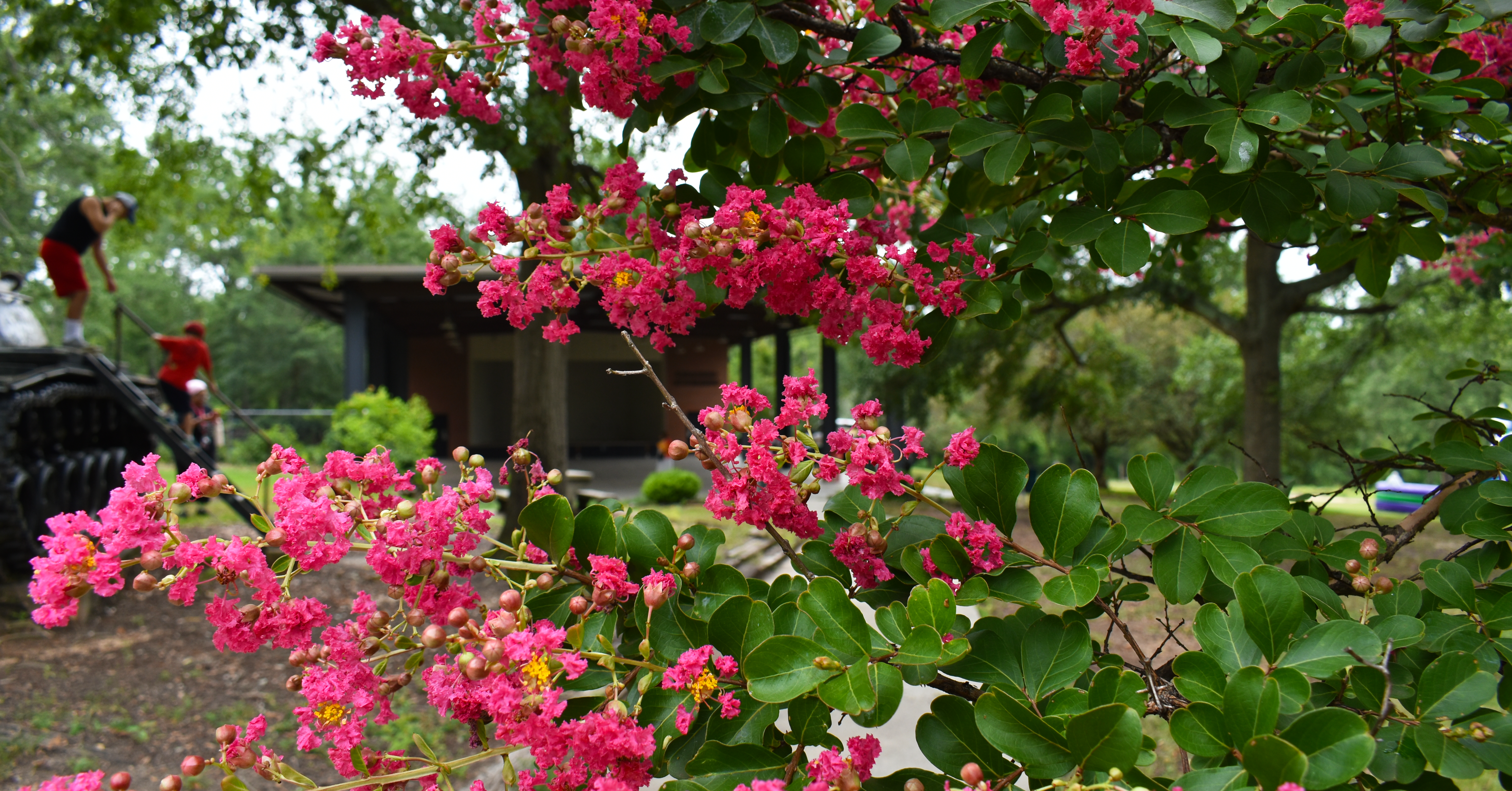 Pendleton King Park Reopens with Community Celebration and Ribbon Cutting